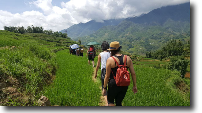 Custom, private guided vacations in Vietnam