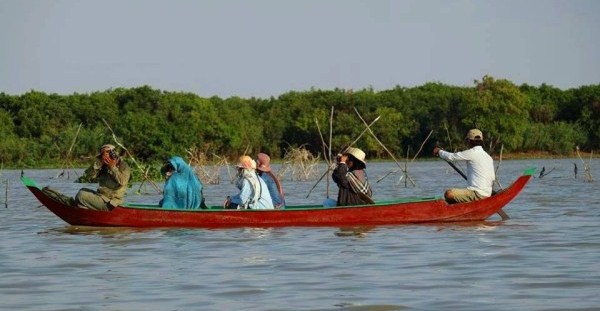 Private guided waterbird tour in Asia