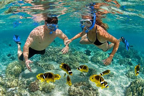 Snorkel and Dive the best coral reefs in Vietnam